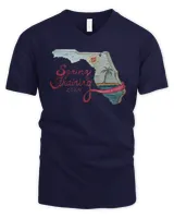 Men's V-Neck T-Shirt Men's V-Neck T-Shirt