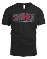 Men's V-Neck T-Shirt Men's V-Neck T-Shirt