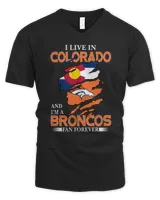 Men's V-Neck T-Shirt Men's V-Neck T-Shirt