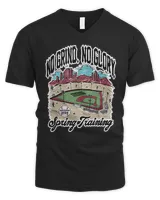 Men's V-Neck T-Shirt Men's V-Neck T-Shirt