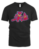 Men's V-Neck T-Shirt Men's V-Neck T-Shirt