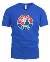 Men's V-Neck T-Shirt Men's V-Neck T-Shirt