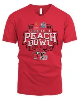 Men's V-Neck T-Shirt Men's V-Neck T-Shirt