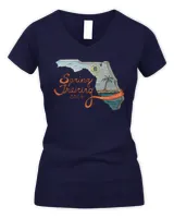 Women's V-Neck T-Shirt Women's V-Neck T-Shirt