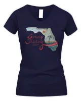 Women's V-Neck T-Shirt Women's V-Neck T-Shirt
