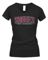 Women's V-Neck T-Shirt Women's V-Neck T-Shirt