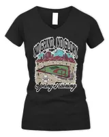 Women's V-Neck T-Shirt Women's V-Neck T-Shirt
