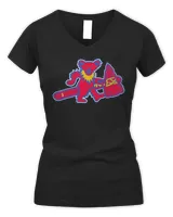 Women's V-Neck T-Shirt Women's V-Neck T-Shirt
