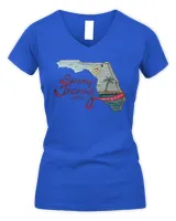 Women's V-Neck T-Shirt Women's V-Neck T-Shirt