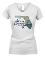 Women's V-Neck T-Shirt Women's V-Neck T-Shirt