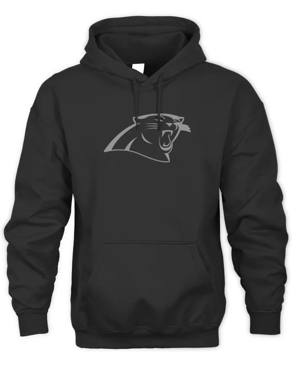 Panthers Rflctv Name And Logo Hoodie