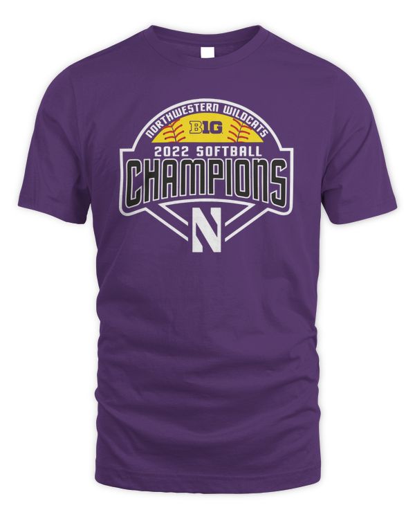 Northwestern Wildcats 2022 Softball Big Ten Regular Season Champions Hoodie