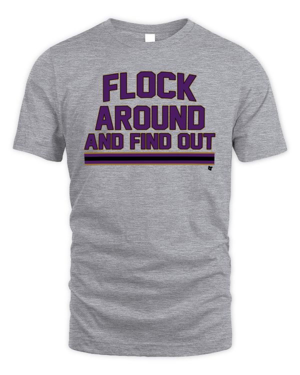 Baltimore Flock Around And Find Out Tee Gray