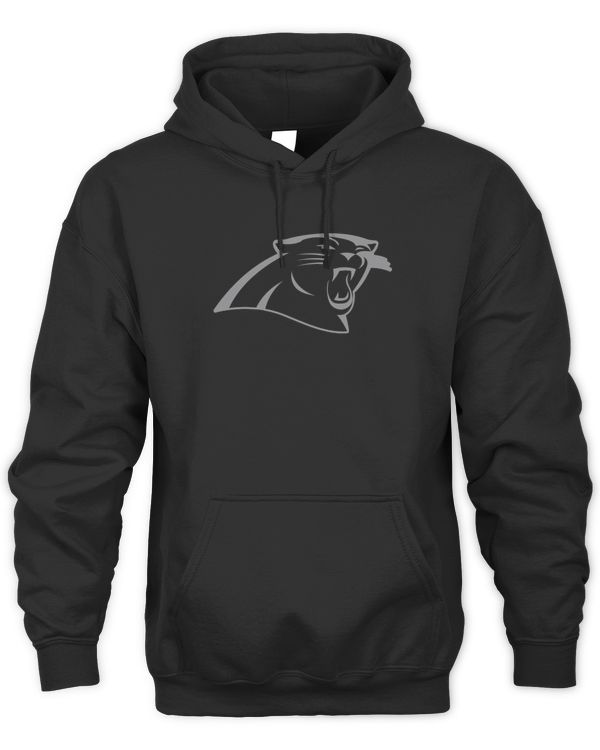 Panthers Rflctv Name And Logo Hoodie